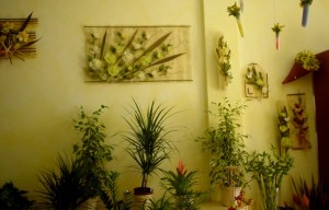 Secco e vetrine 07 800 514